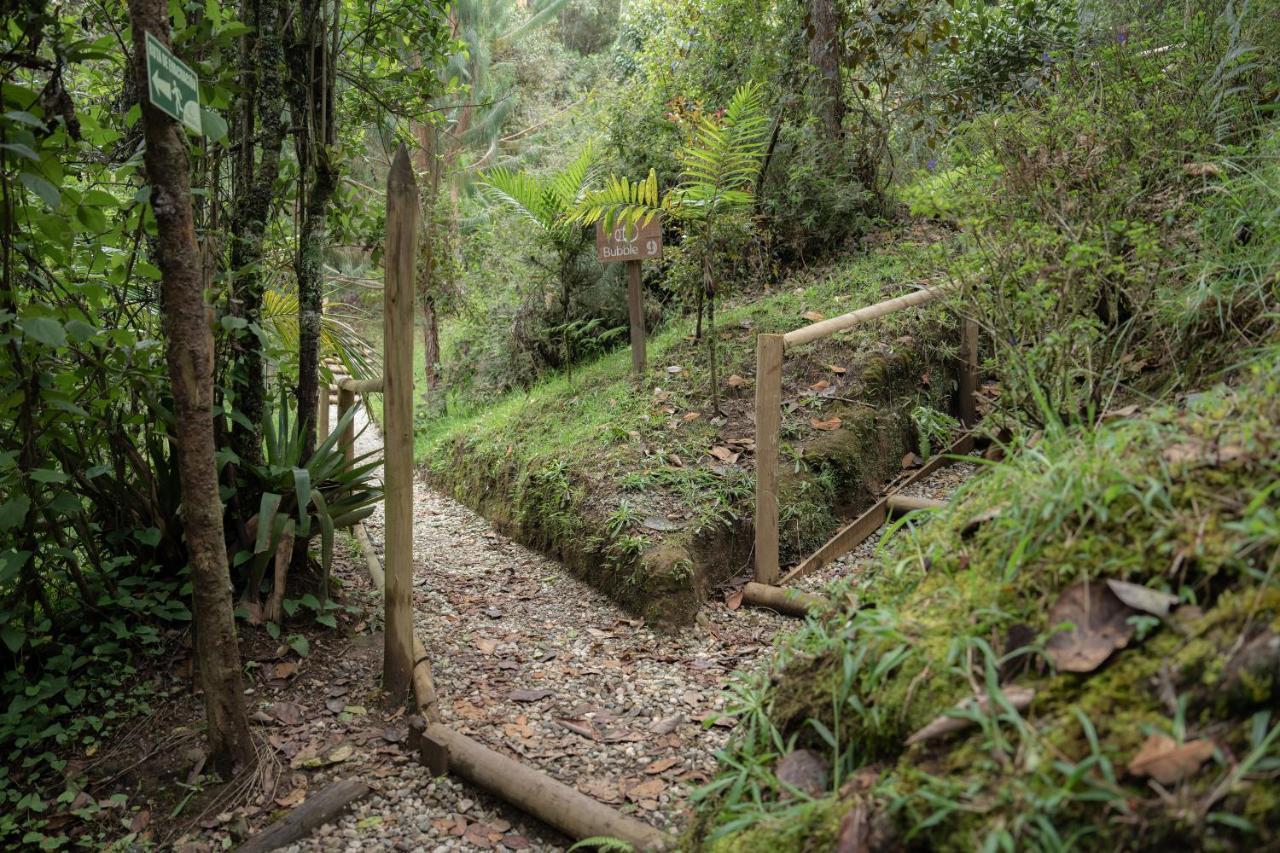 Hotel Bubblesky Glamping 40 Min From Medellin Retiro Exterior foto
